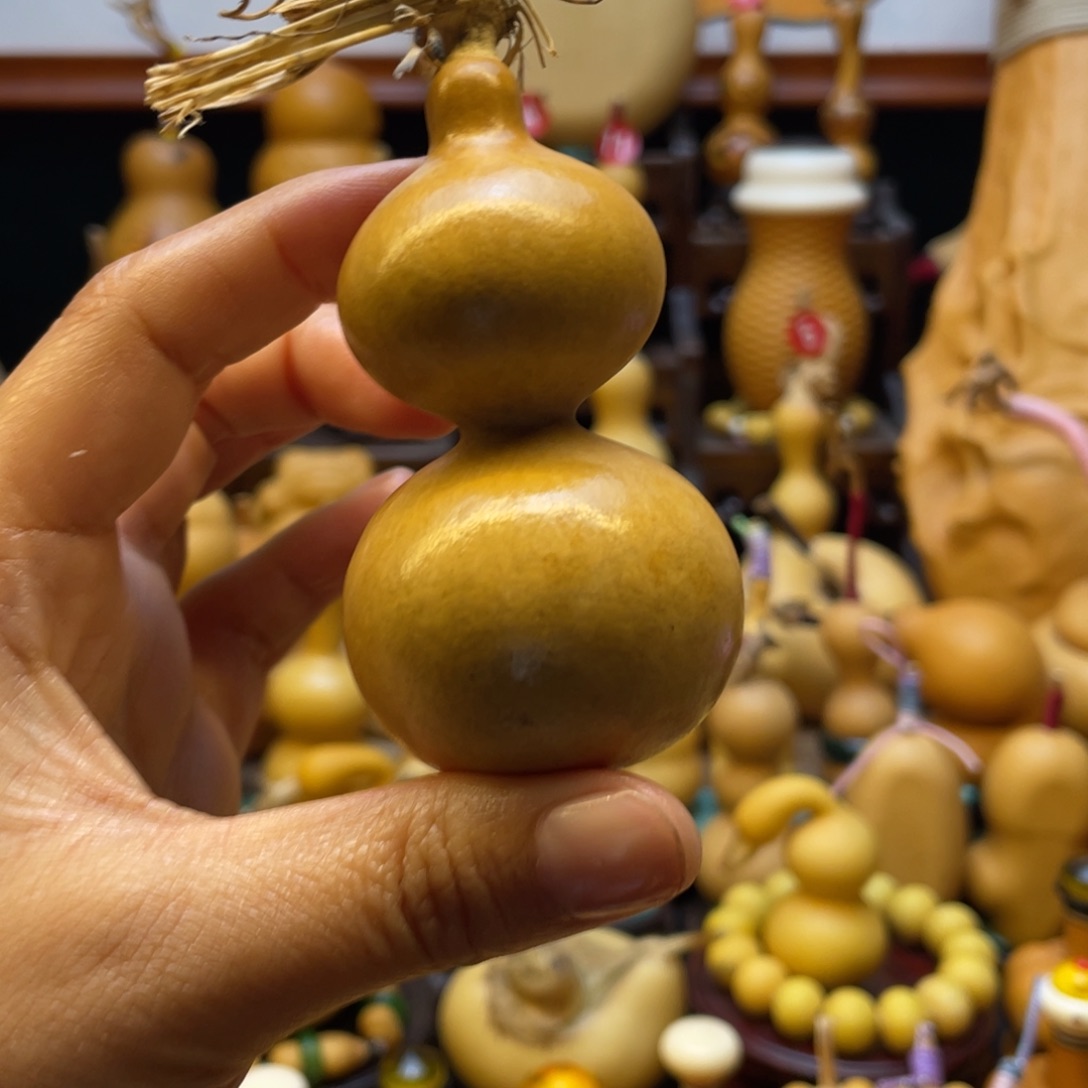 ?**?大自然的秘密第十一章第一章