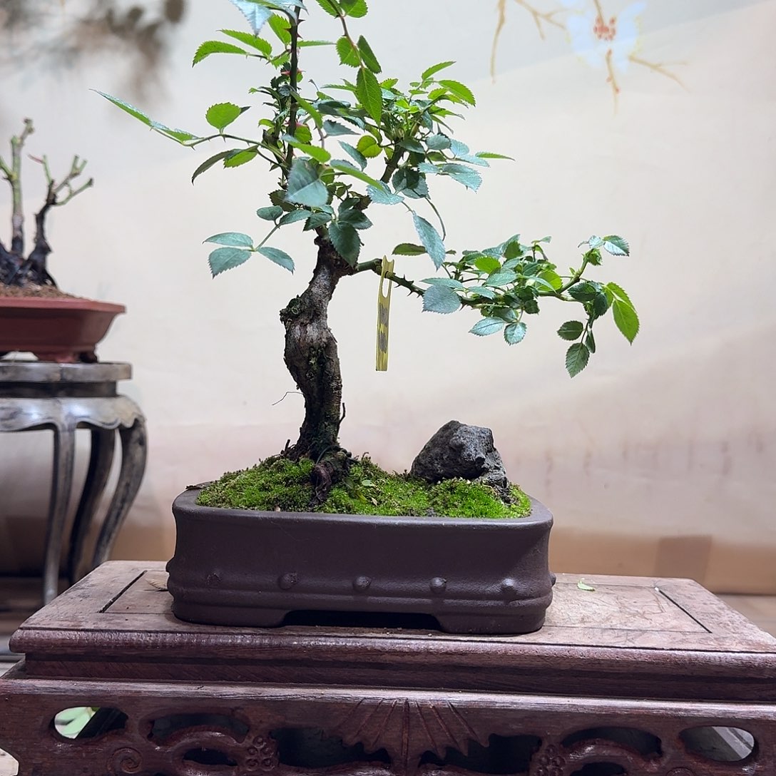 完全开放888888888889898988788