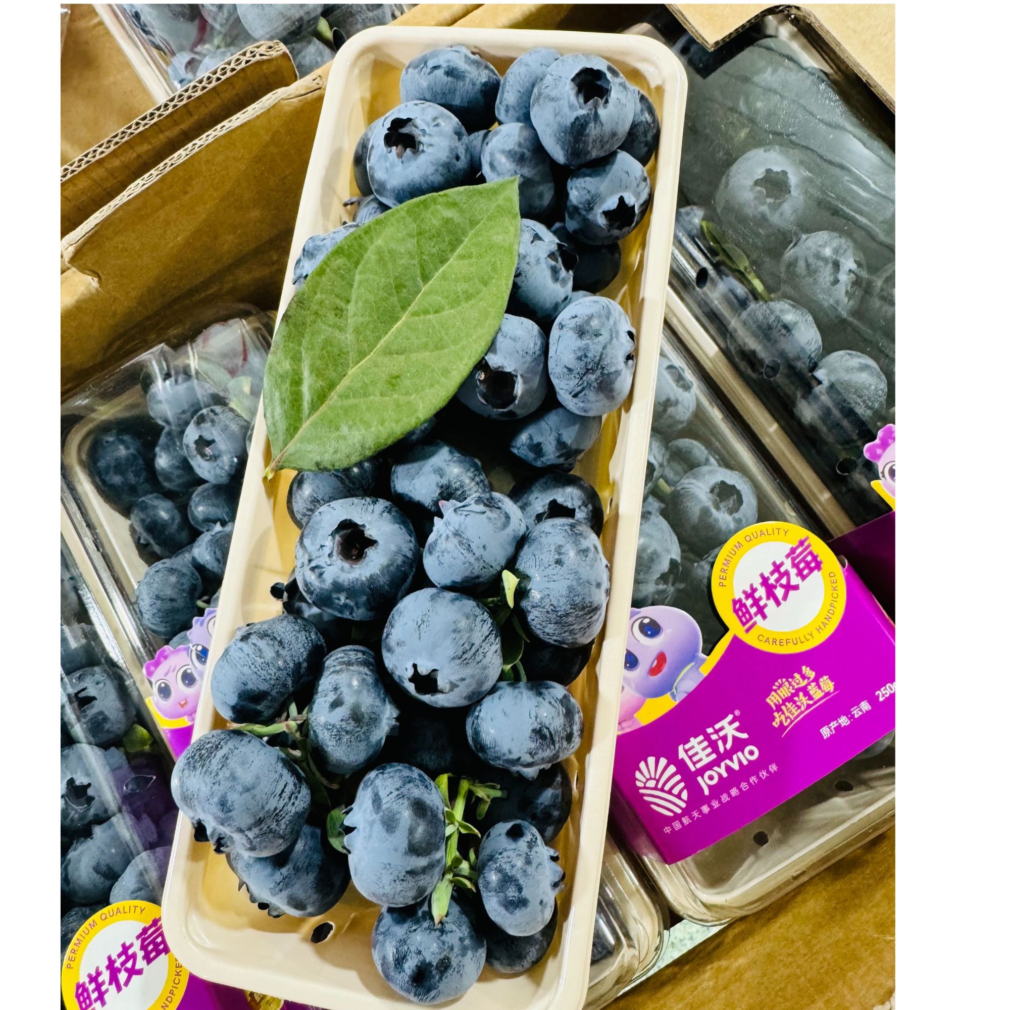 【佳WO鲜枝莓云南蓝莓】整箱