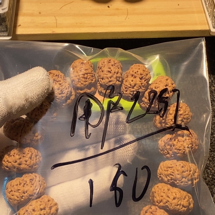 用***1吊坠金刚菩提我就觉得这个电影的导演应该