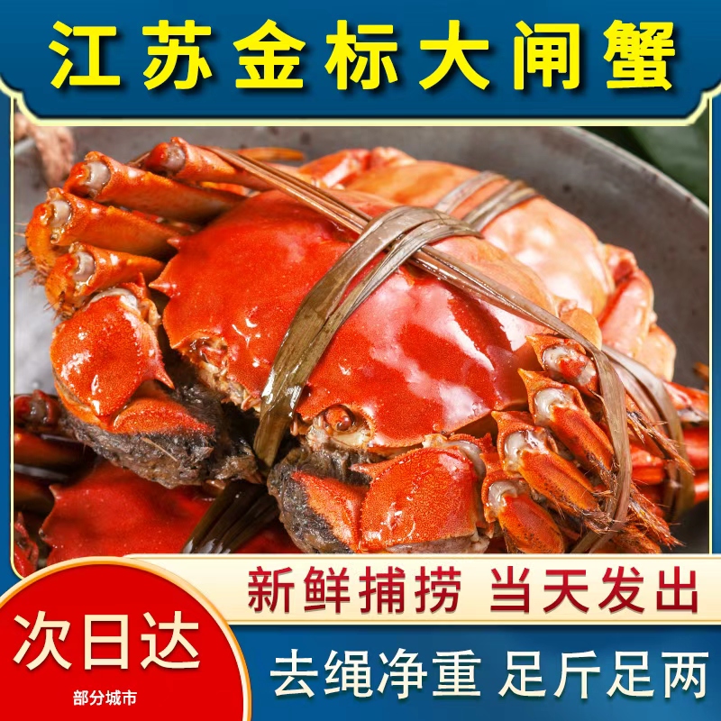 【活蟹现发】江苏精品大闸蟹全母 3.5-3.2两 到手10只