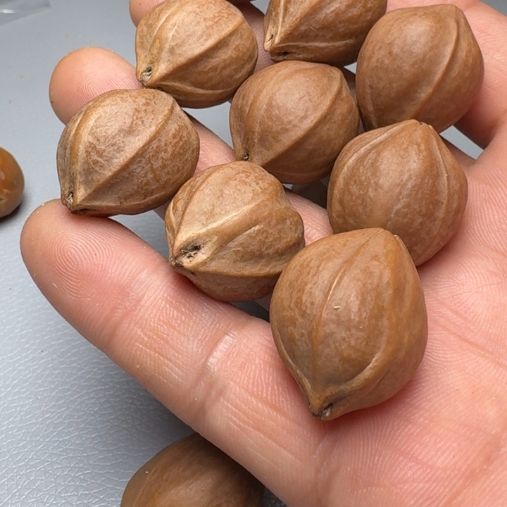 橄榄核手串十****叔橄榄核666