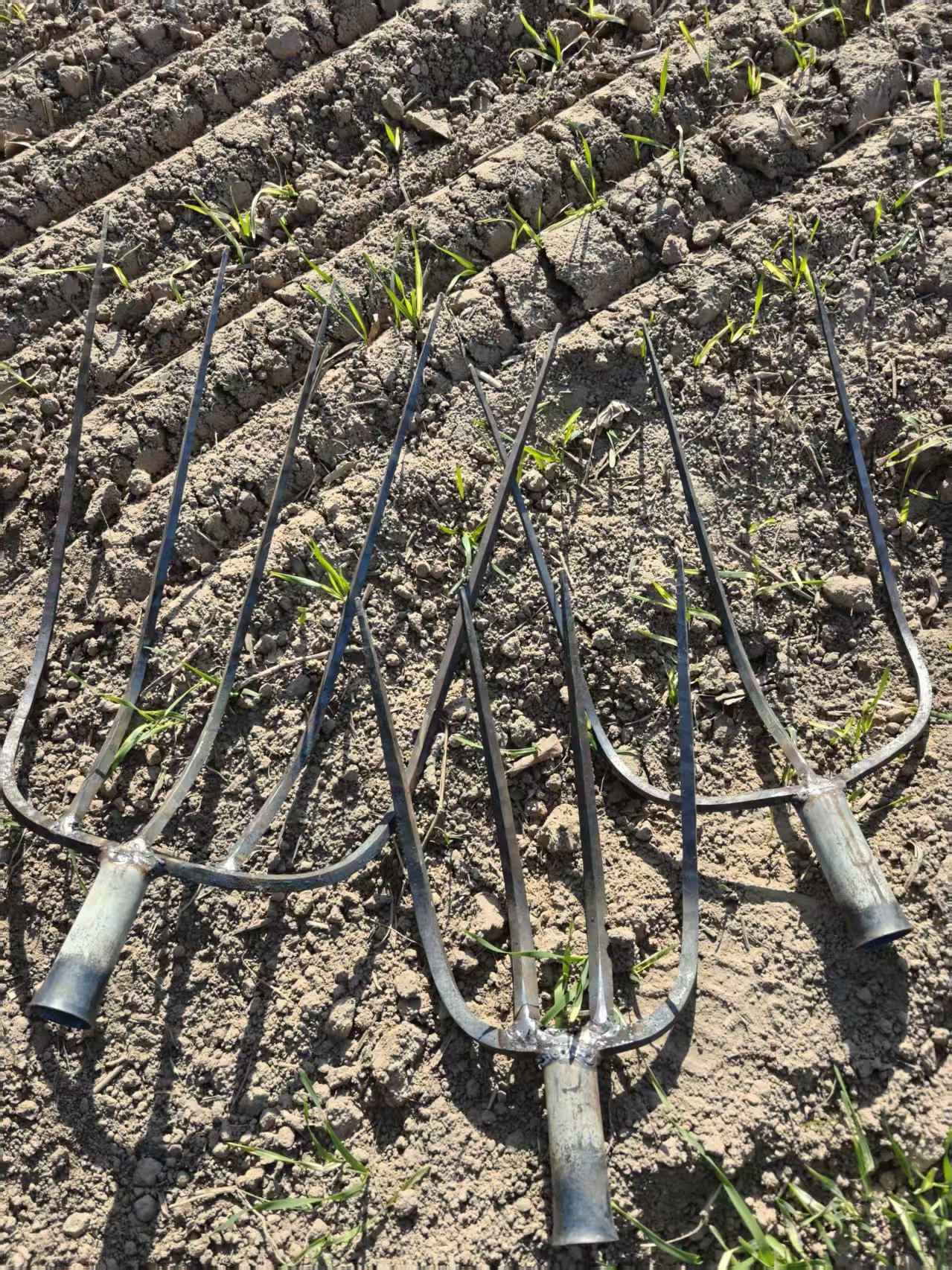三齿四齿五齿钢叉铁叉粪叉开荒松土农用松土神器【养殖场强烈推荐】