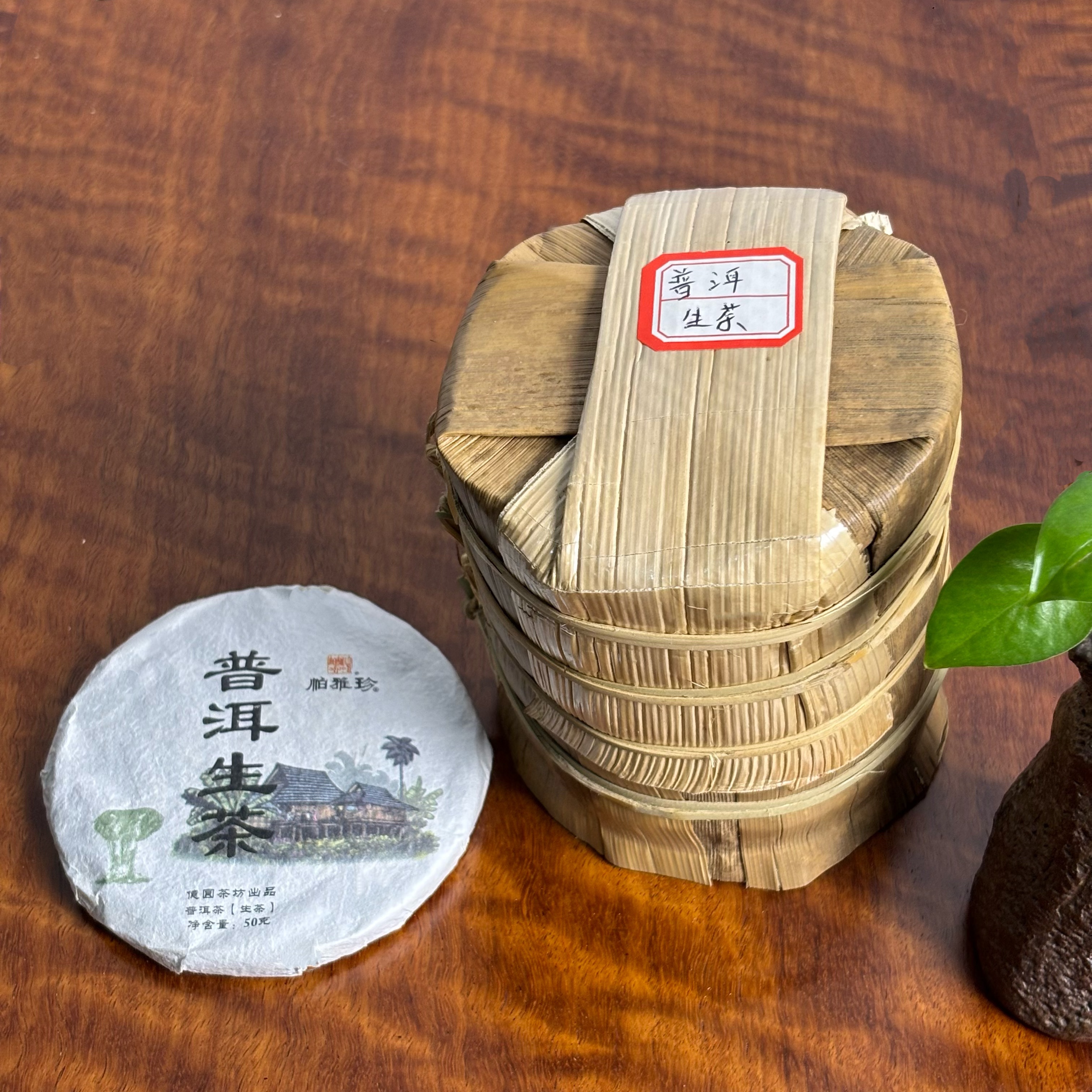 帕雅珍 2021年普洱生茶 50克饼 10饼一提 兰香十足