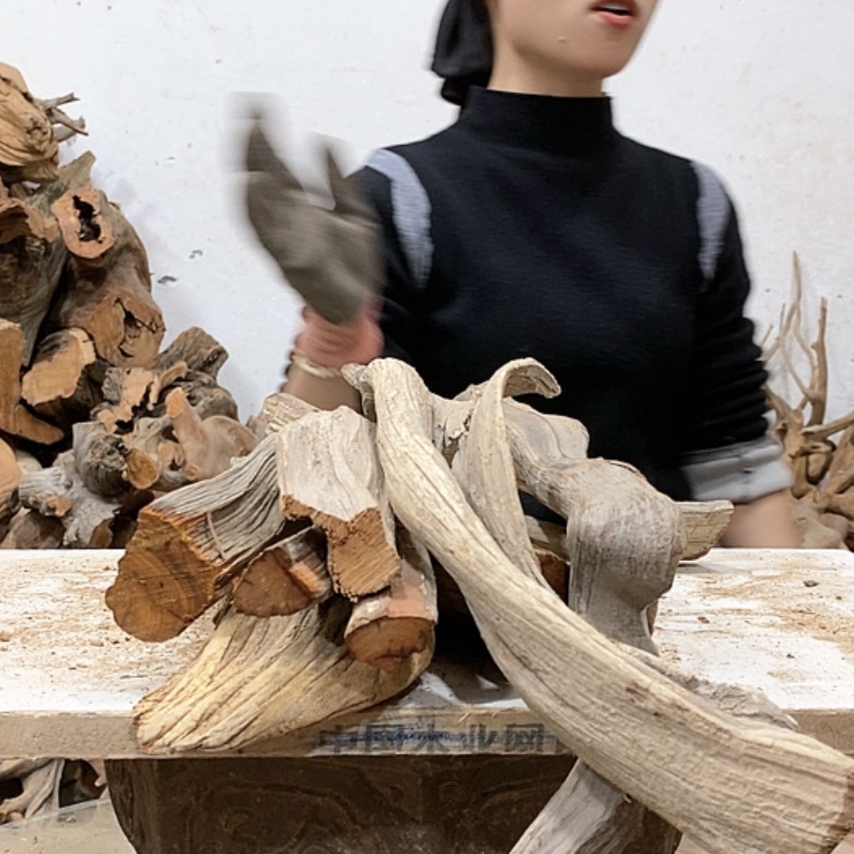 【闪购商品】柏木海****店我们都是好孩子