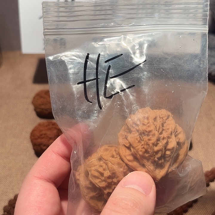 H***／吊坠文玩核桃龙鳞纹一对