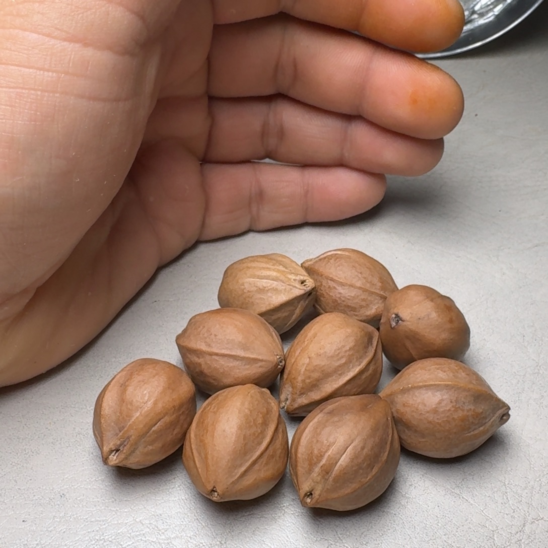 疯***令橄榄核手串橄榄核