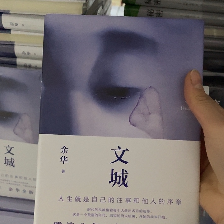文城   精装带塑封