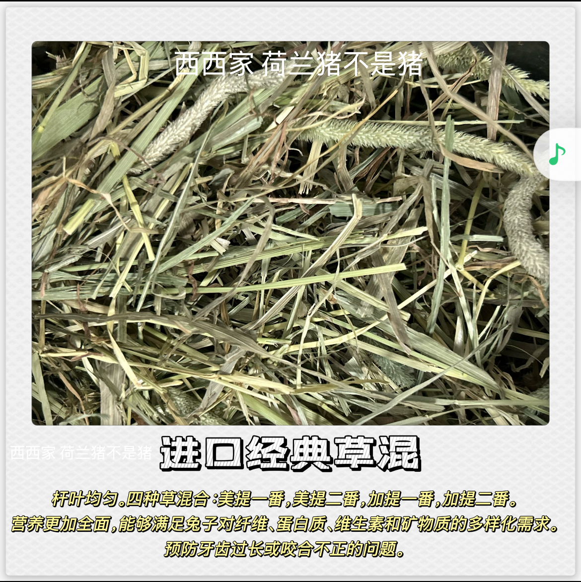 一斤装 进口美提加提 一番二番 兔子豚鼠龙猫主食