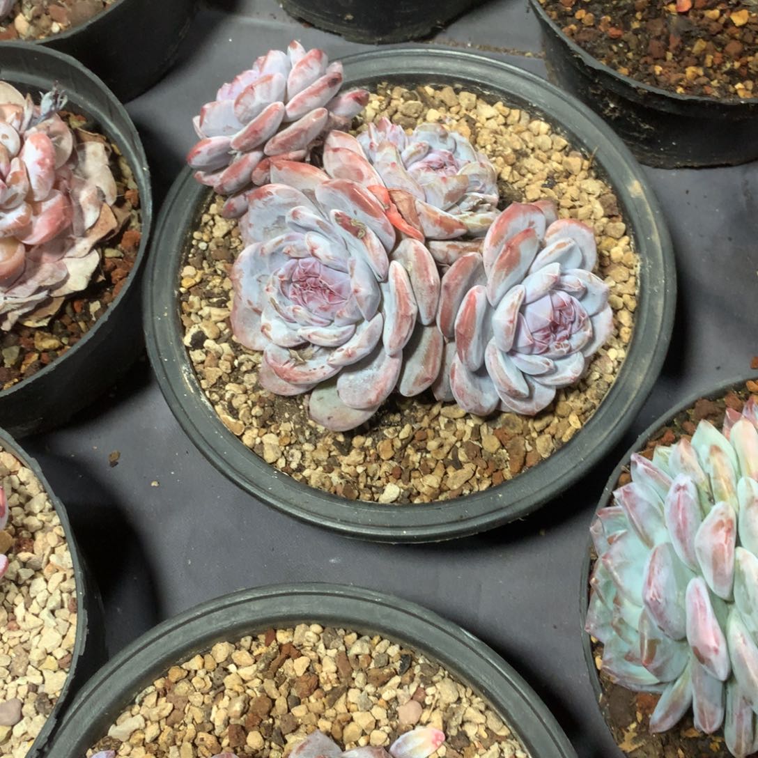 哈哈哈哈哈哈哈哈