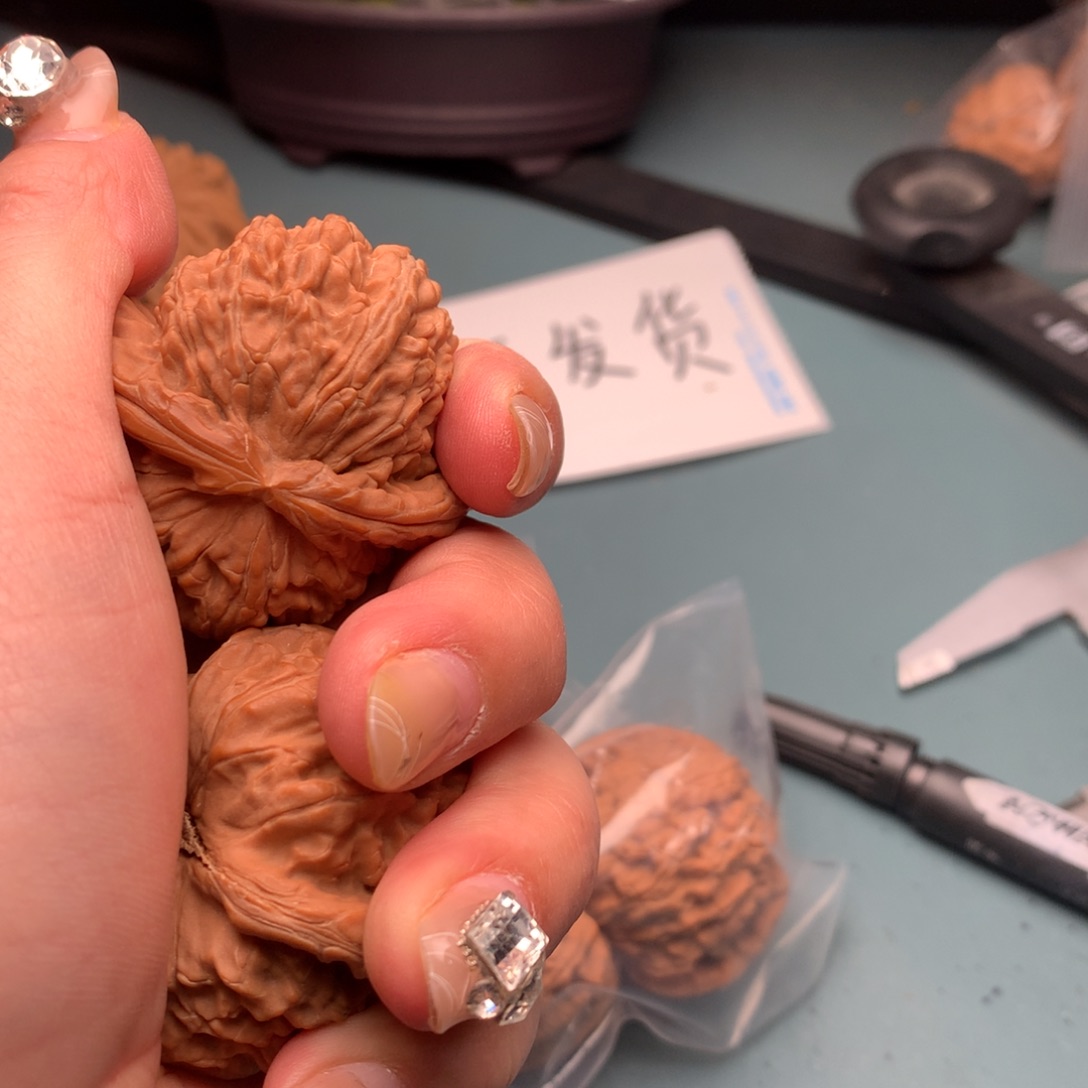 文玩核桃把件白狮子4243