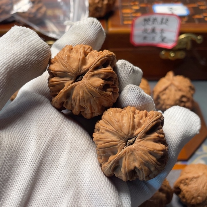 文玩核桃把件故***。玄武