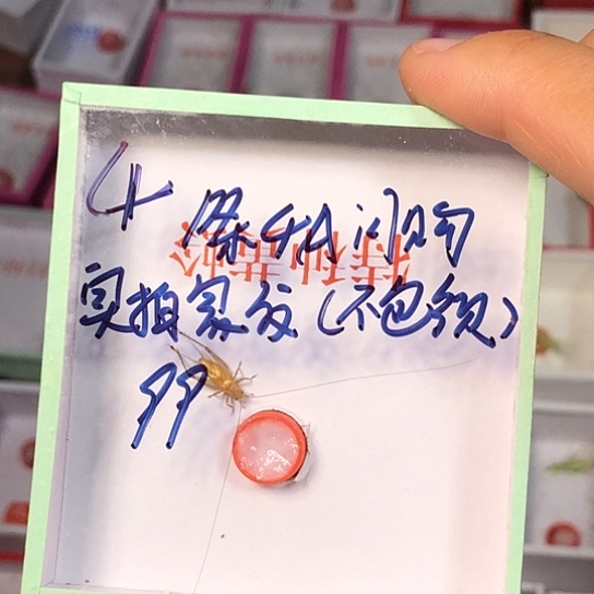 用***8蟋蟀3333333333333333