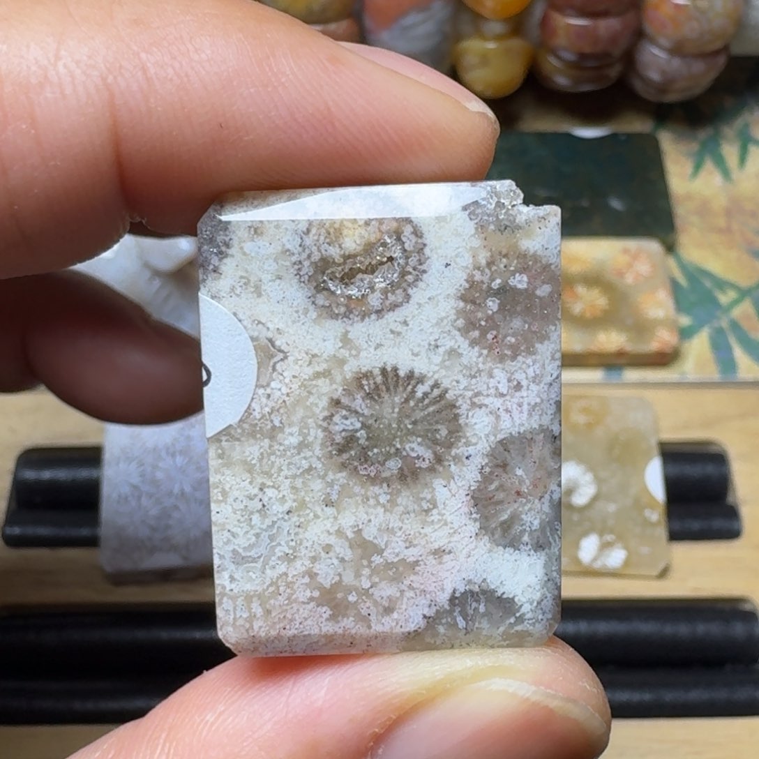 硅化玉天然有机玉石保真色未镶嵌