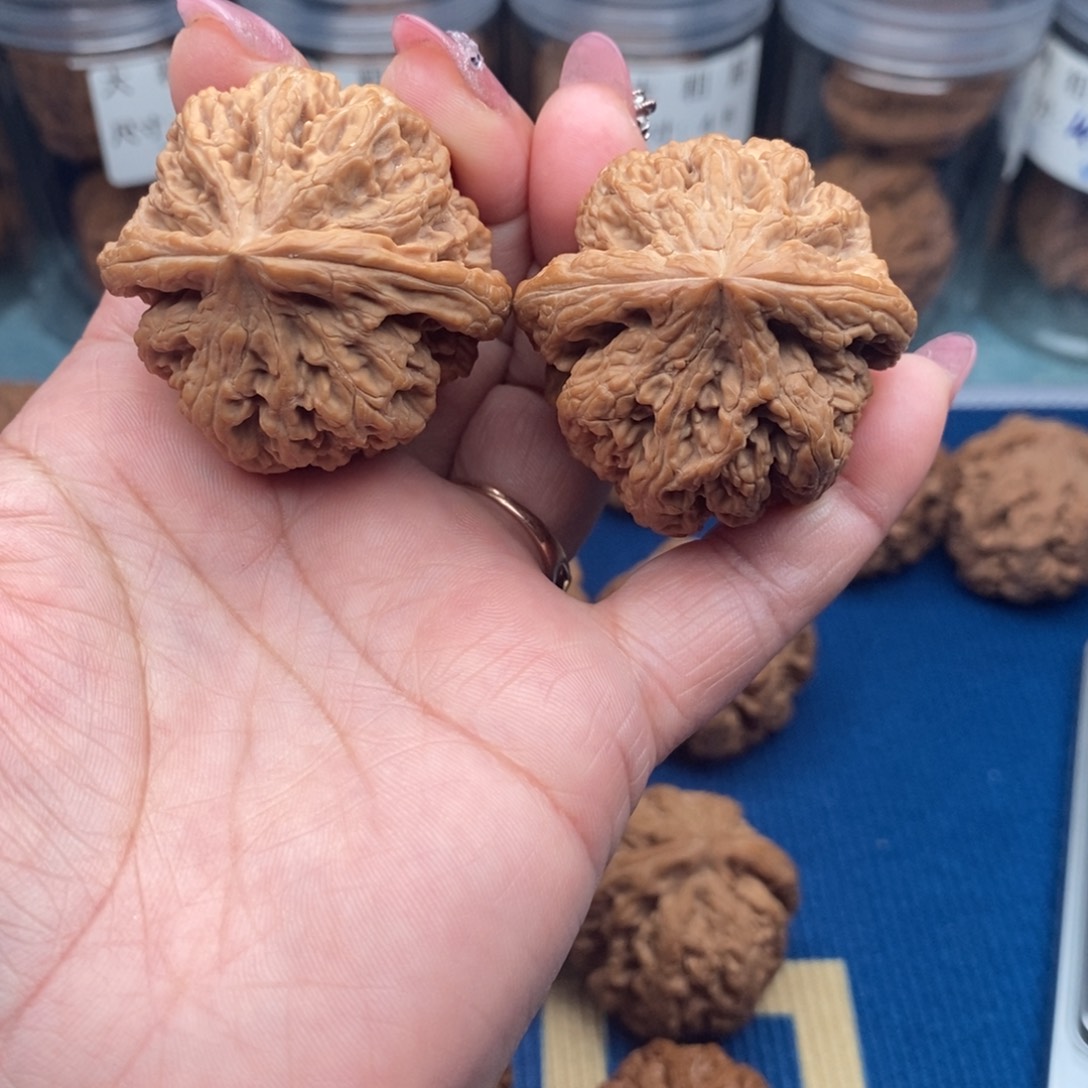 小***豆文玩核桃把件粗筋41