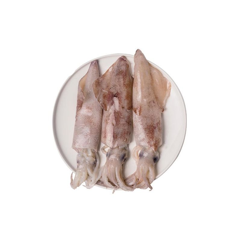 冰鲜鱿鱼500g