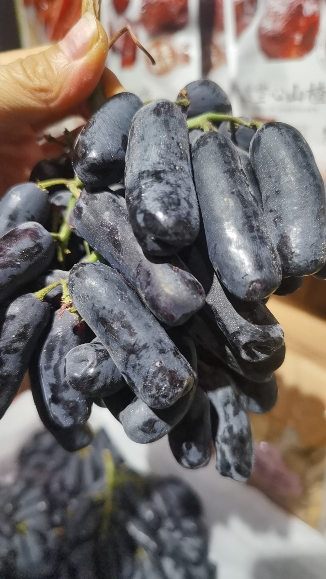 美人指葡萄，9.8一斤