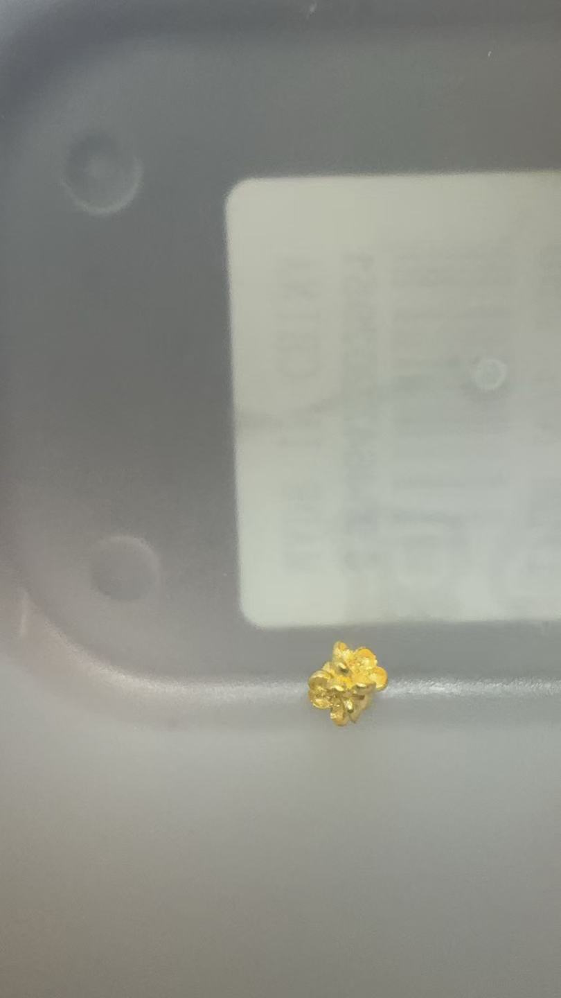 足金饰品0.491克（DIY定制款）
