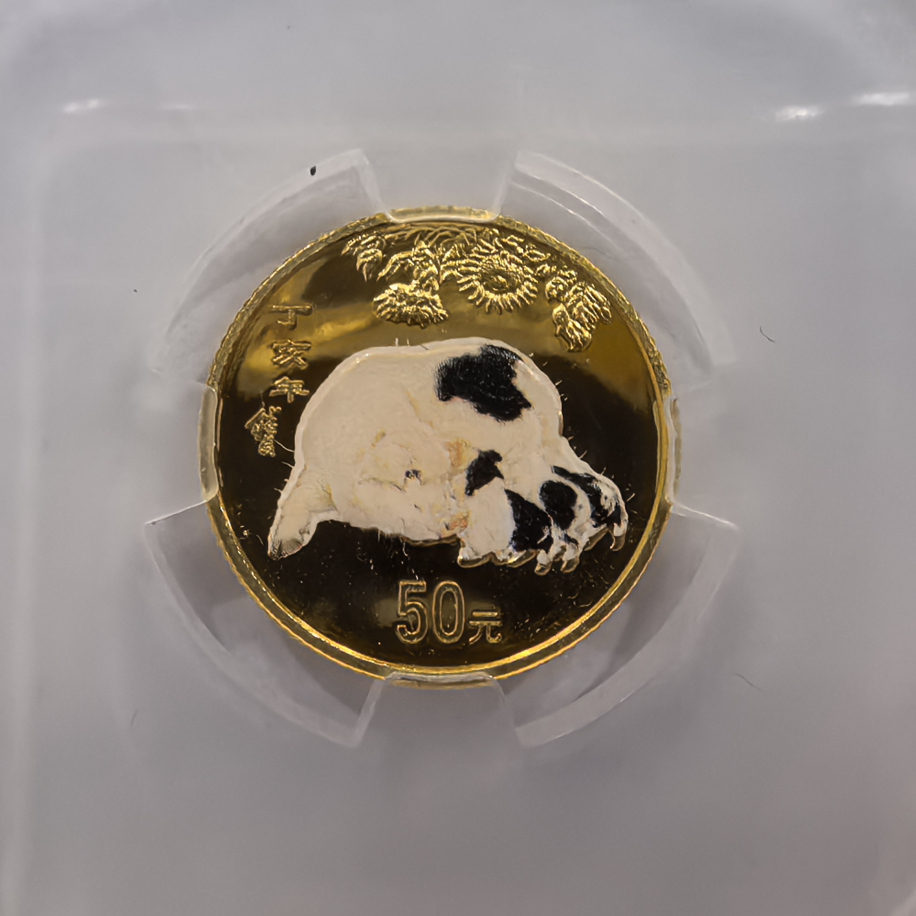 2007丁亥猪年生肖1/10盎司彩色金币.信泰评级70分.彩金猪带证无盒