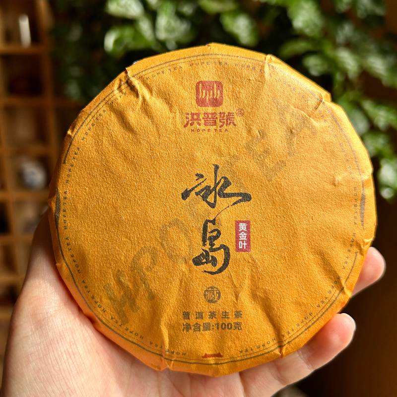 洪普号 2024年冰岛普洱茶生茶饼茶100g