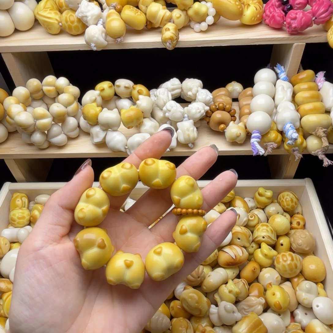 吊坠菩提根/象牙果全品