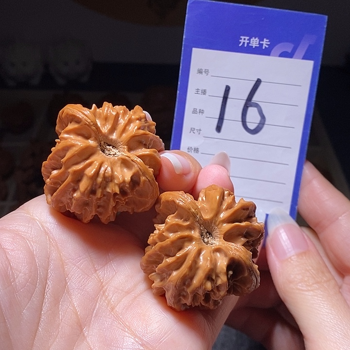 把件文玩核桃大龙酒杯底40左右