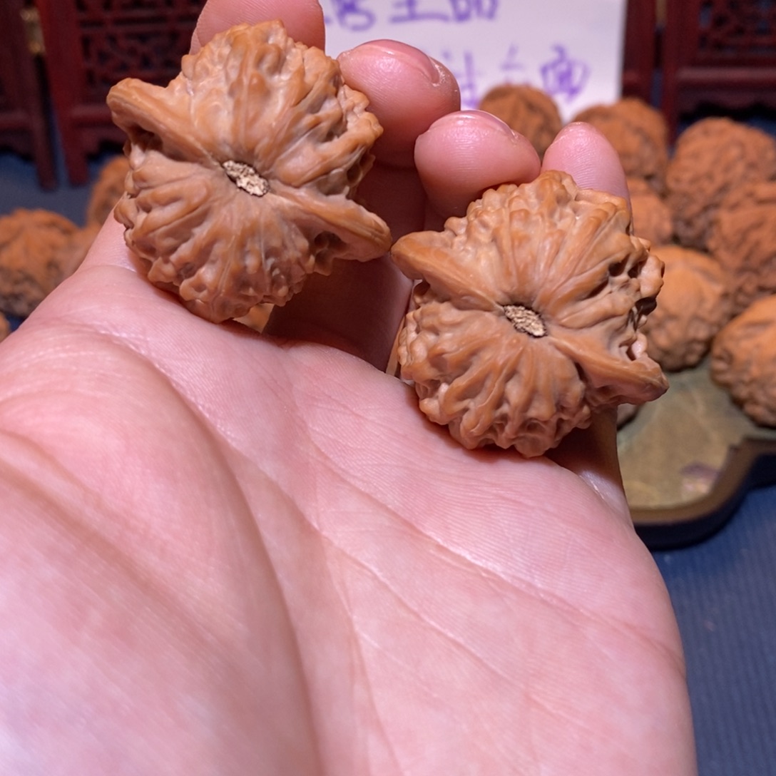 39尺 全品白茬 七步沟 公子帽