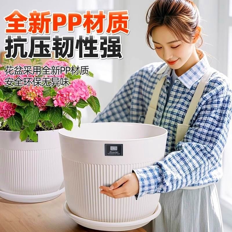 天堂鸟简约仿陶瓷塑料花盆绿植盆龟背竹发财树加厚家用环保耐用，