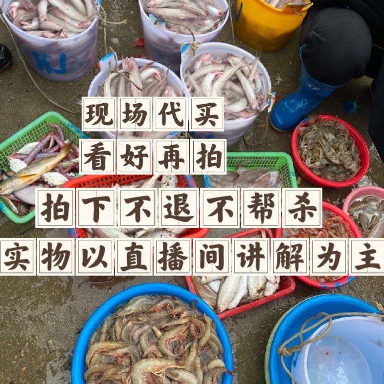 澳角小排鱼虾蟹 现改链接 3-10斤 