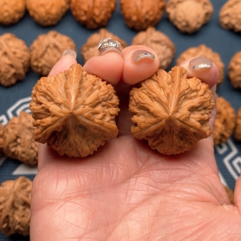 橄榄核手串/手链文山三棱御龙粗筋36