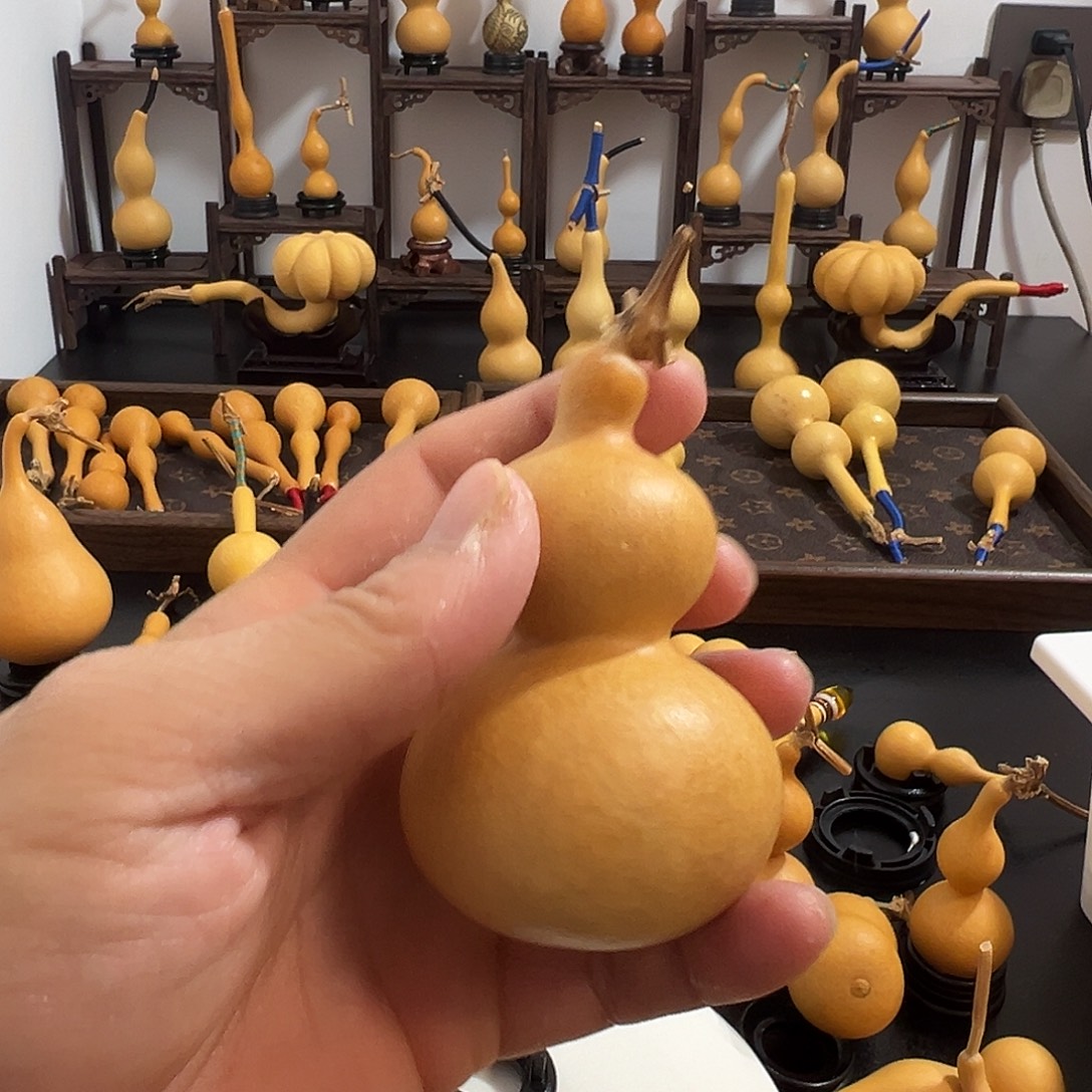 葫芦村的小可爱小伙伴