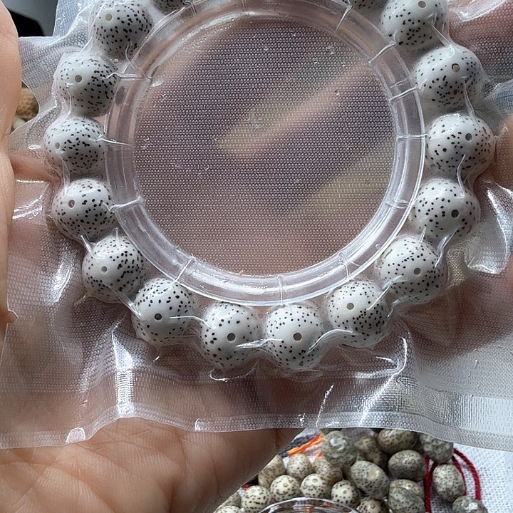 蝈***蝈手串星月菩提原生态正圆14大尺寸