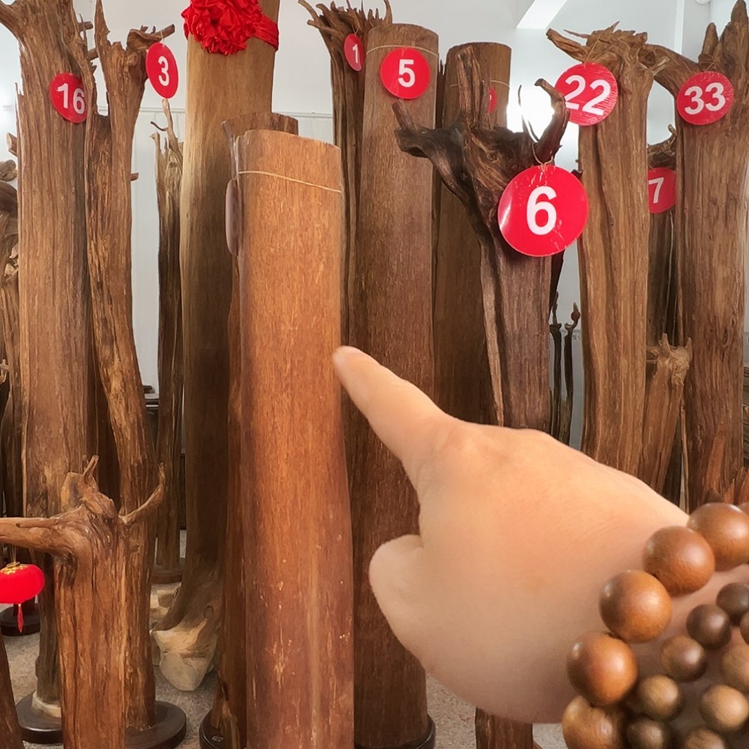 3***襟摆件沉香沉香原料6