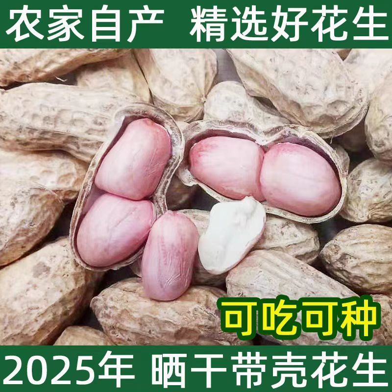 贵州晒干新小米花生农家精选带壳生花生新鲜原味种子级粉皮花生