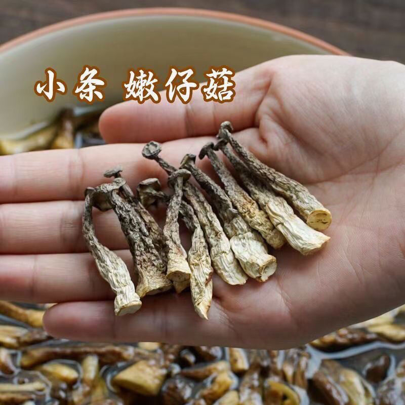 【婷婷精选】农家特产 鹿茸菇