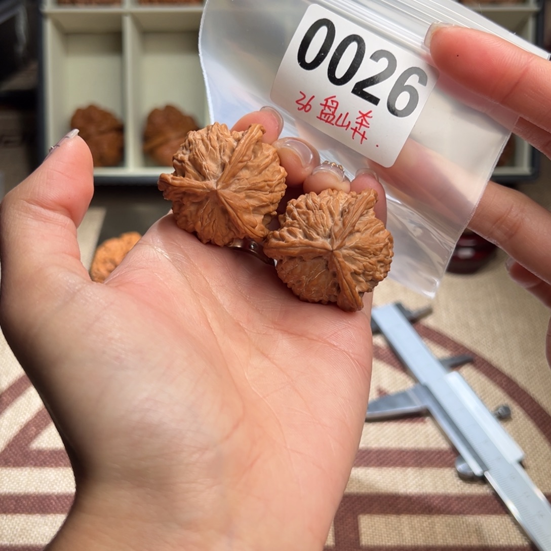 36全品盘山奔文玩核桃