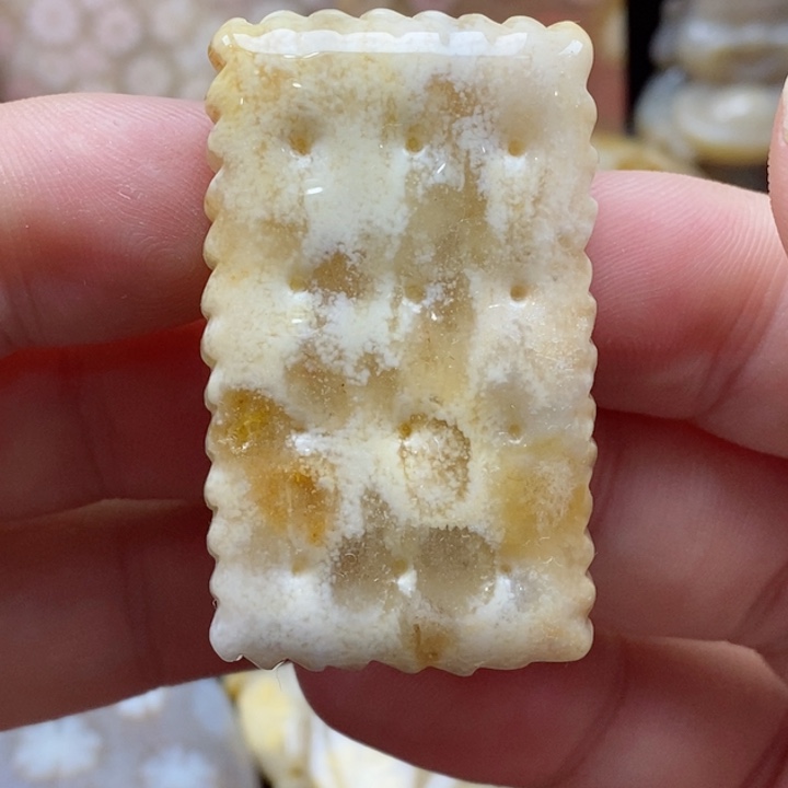 硅化珊瑚（珊瑚玉）颈饰未镶嵌