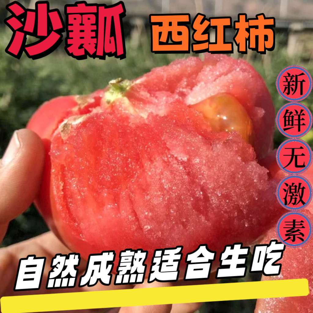 攀枝花沙瓤西红柿蔬菜酸甜多汁现摘普罗旺斯西红柿蔬菜净重5斤