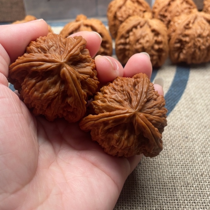 静***下核桃白狮子42核桃