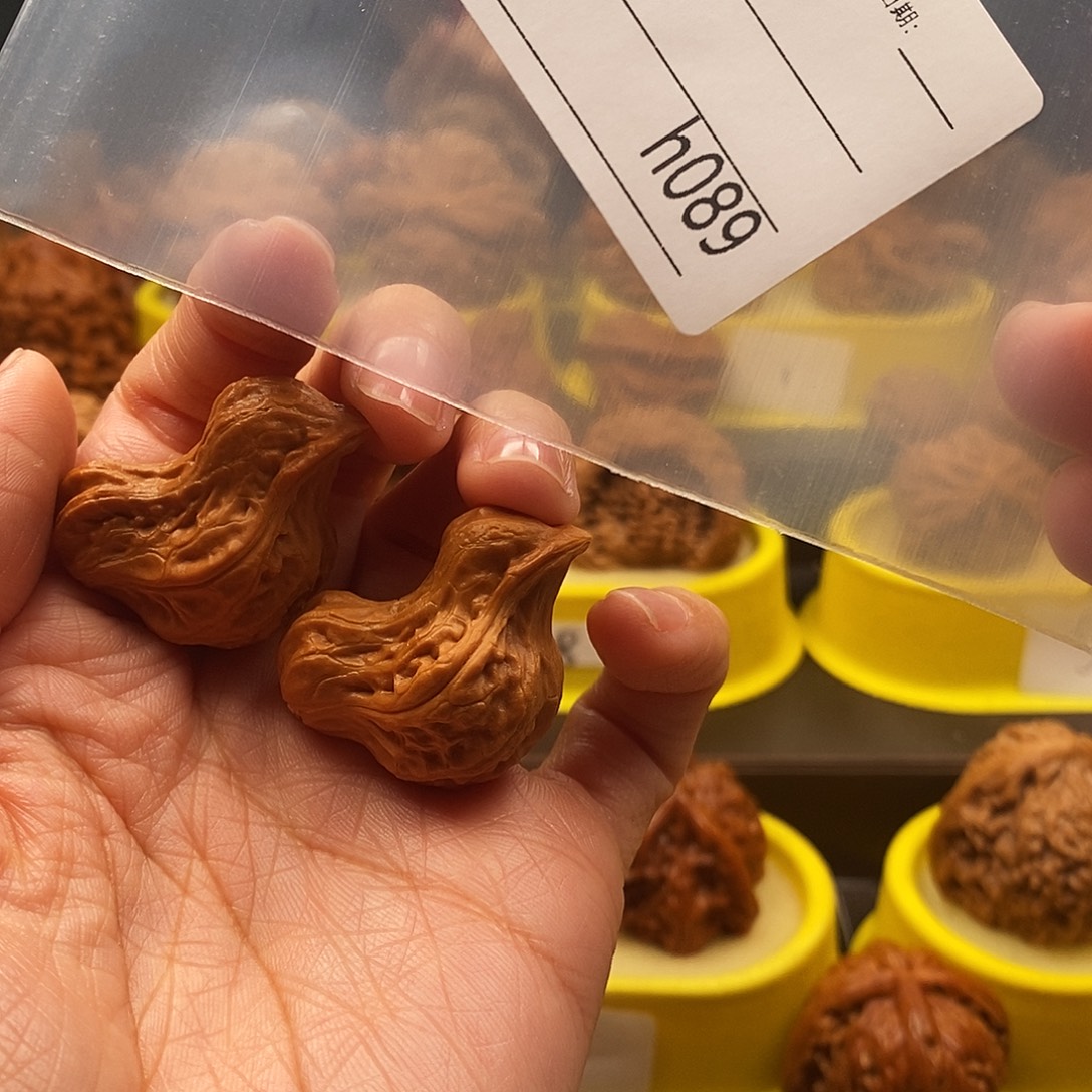 钱***煌大叶紫檀（黑酸枝木类）小鸟