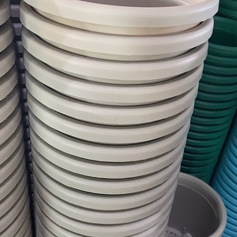 树脂四季3号会带无托10个