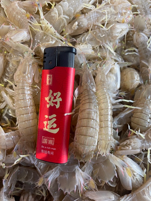 超超超小小小小皮皮虾4斤（保鲜不保活 无售后）