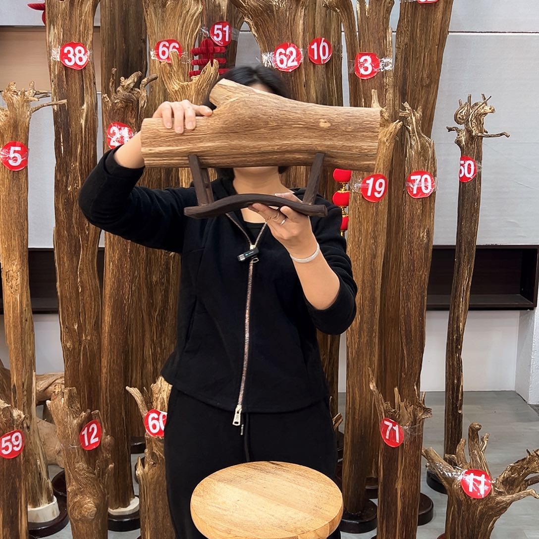 沉香摆件海南沉香摆件