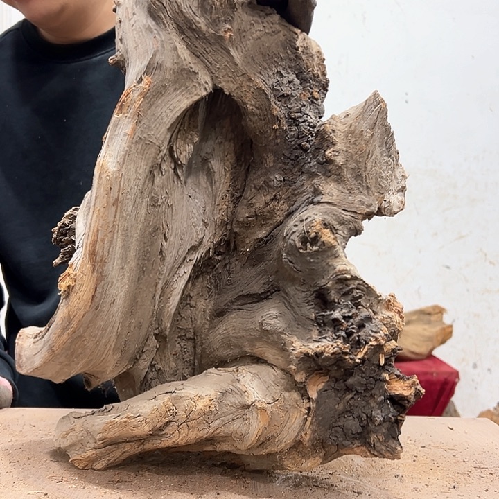 柏木虎**.我们的生活也是如此的丰富多彩