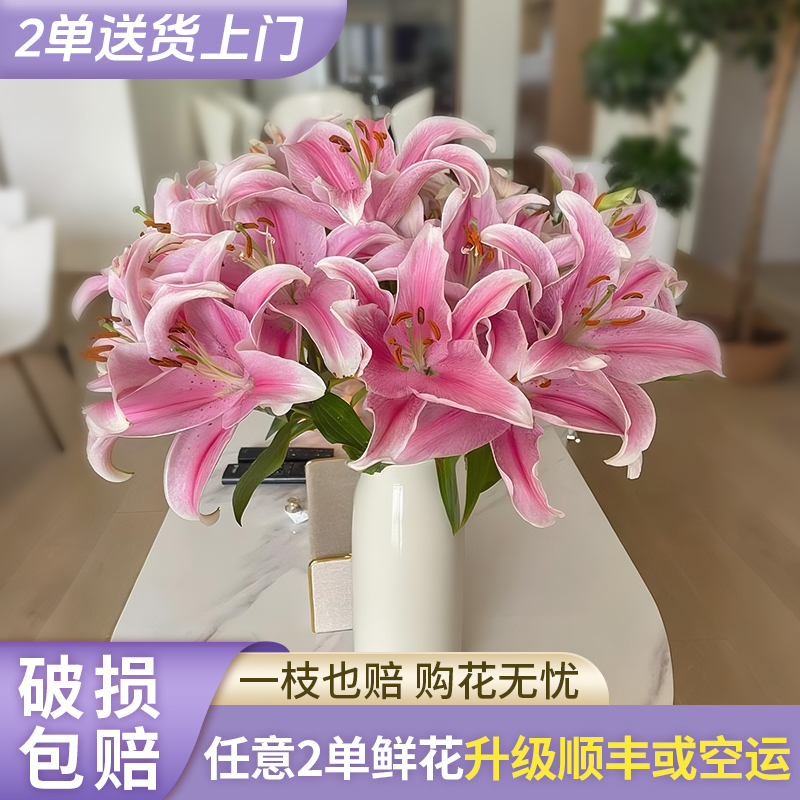 【源头优选】】索尔邦香水百合花水养插花用云南直发鲜花