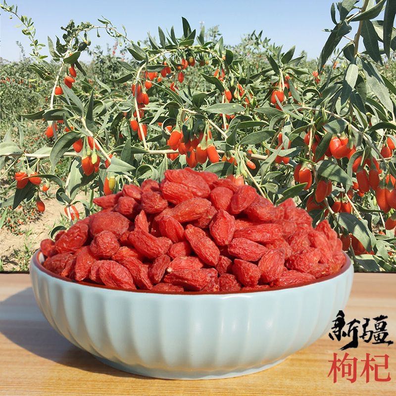 新疆特产红枸杞干泡水泡茶煮粥泡酒健康