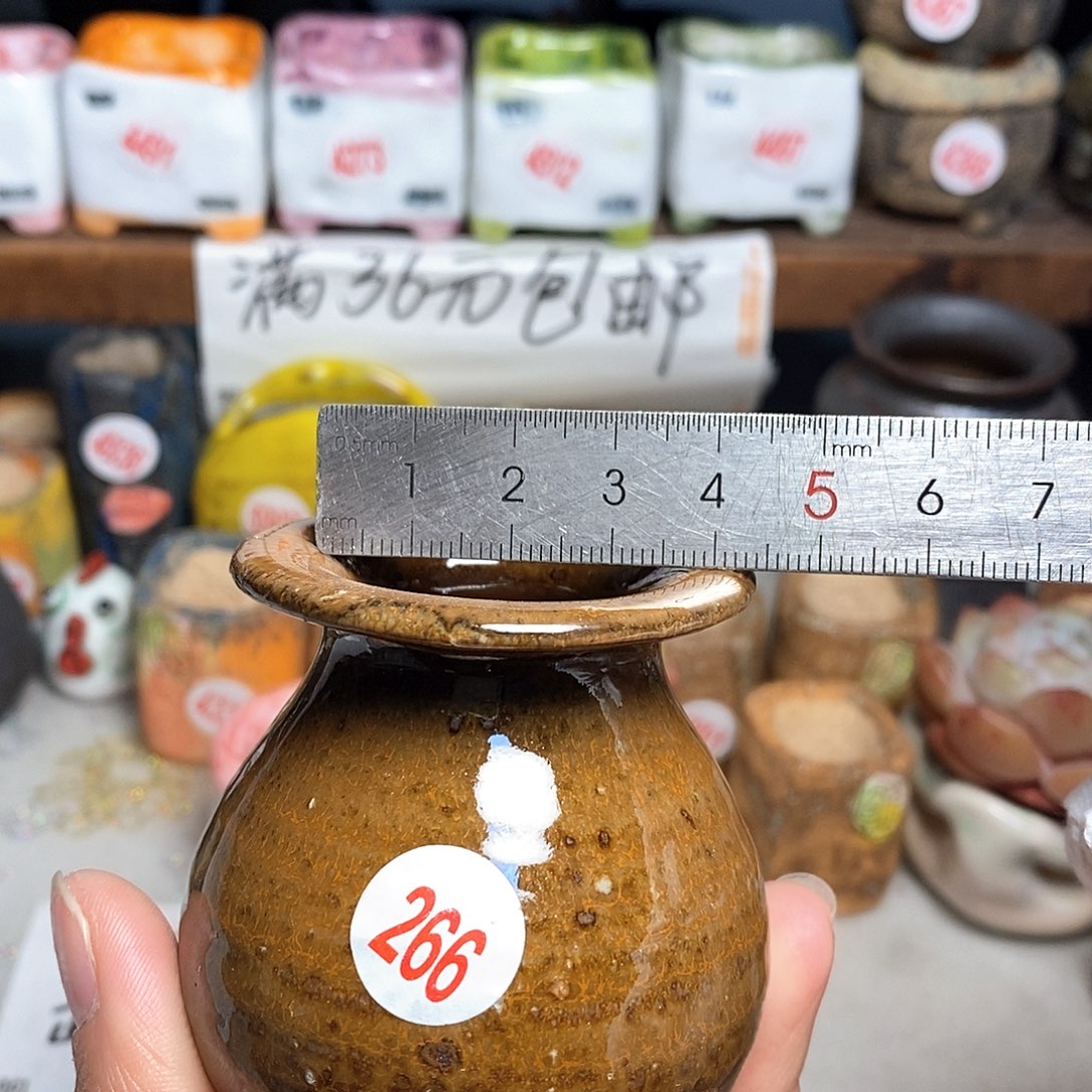 红陶拍5送一个小