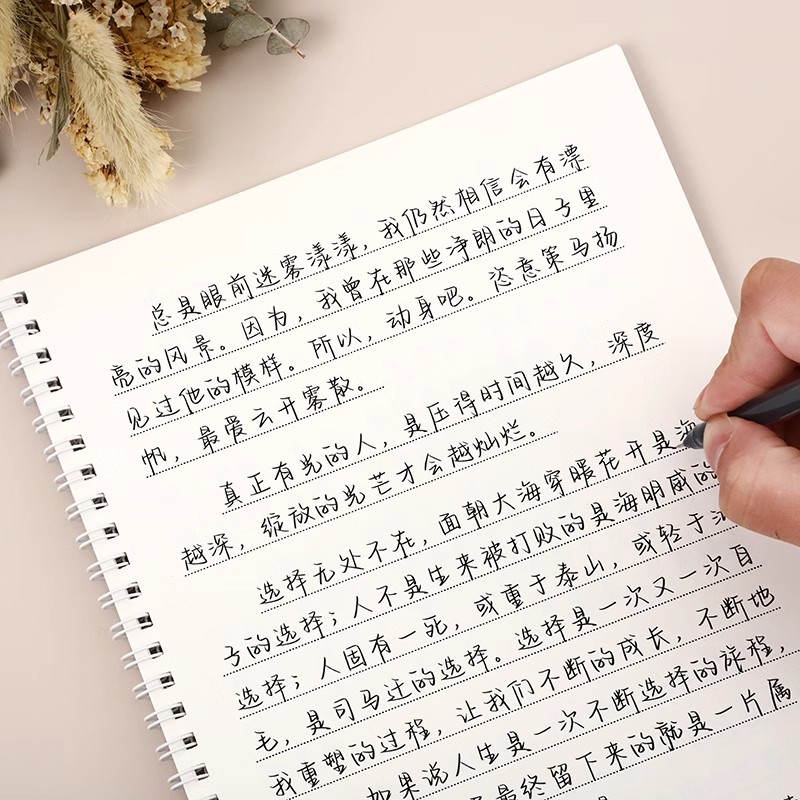 央文案行楷练习字帖女生手写漂亮字体视学生初高中大学生成年人