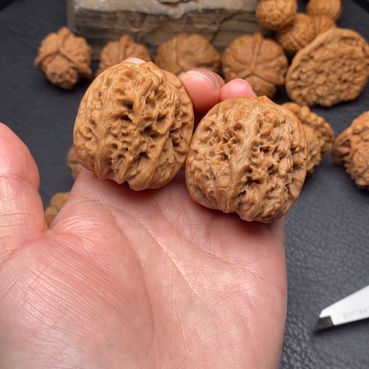 桃核把件尺寸37西北