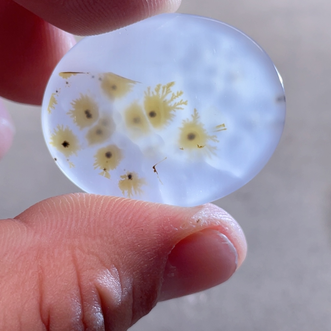 【闪购商品】玛瑙/玉髓颈饰合金